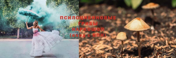 Альфа ПВП Богородицк