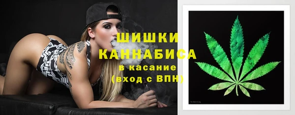дживик Богданович