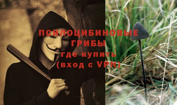Альфа ПВП Богородицк